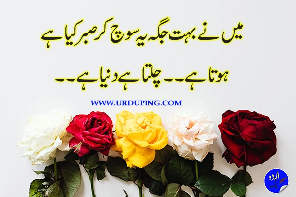 Quotes on Trust in Urdu