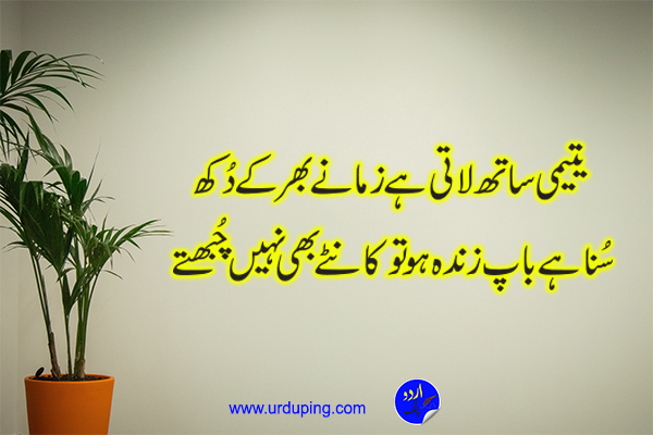 Father Quotes in Urdu