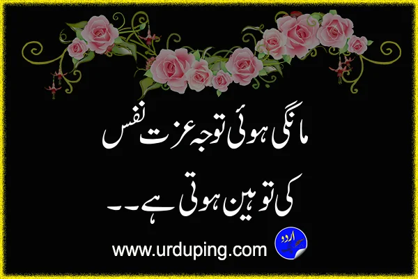 beautiful motivational quotes in urdu