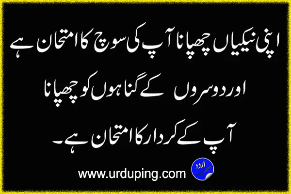 beautiful motivational quotes in urdu