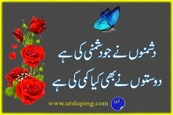 best friend poetry in urdu copy paste