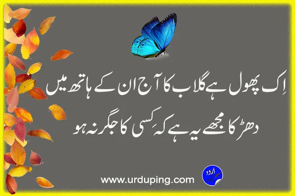 phool pic poetry in urdu