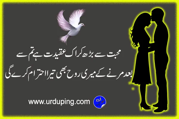 true love poetry in urdu text