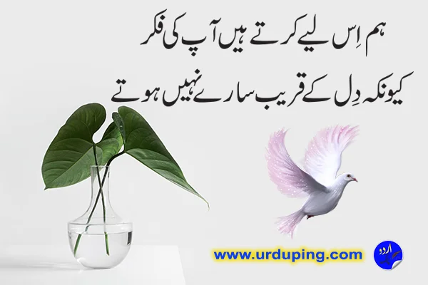 dosti poetry in urdu text