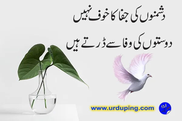 dosti poetry in urdu text
