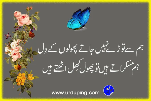 phool poetry in urdu text