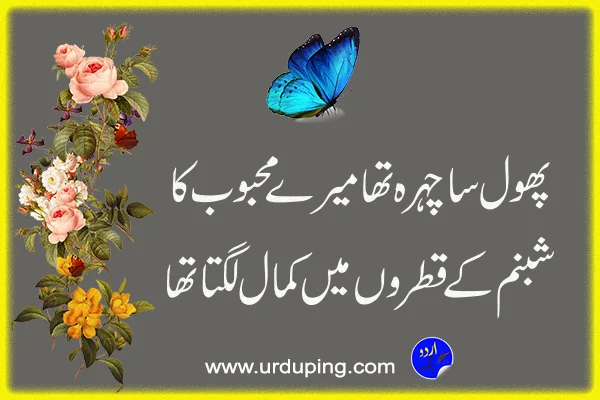 phool poetry in urdu text