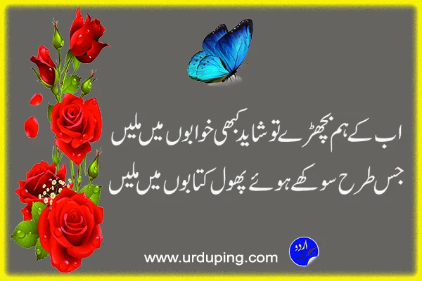 phool poetry in urdu copy paste
