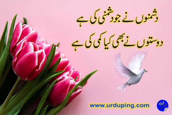 dosti poetry in urdu online copy paste