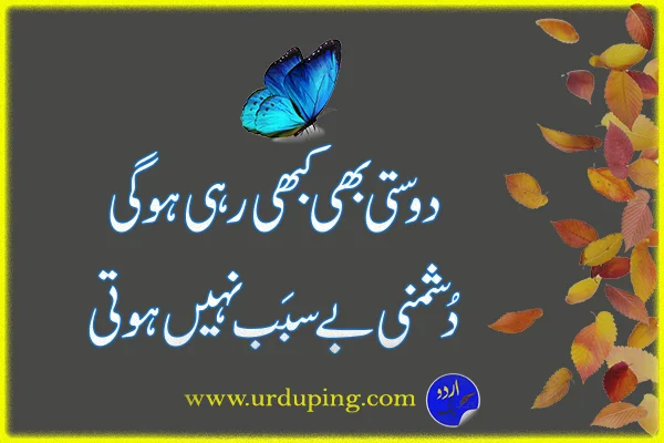 Best Friend Poetry in Urdu