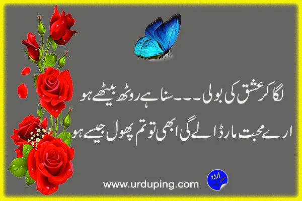 phool poetry in urdu copy paste