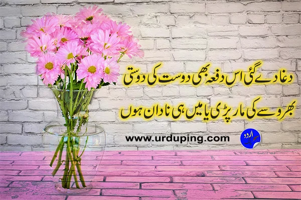 dosti poetry in urdu for girl