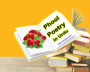 Phool Poetry in Urdu