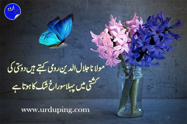 heart touching quotes in urdu text