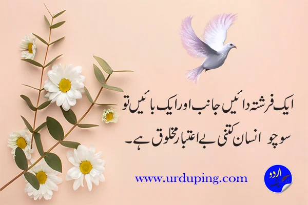 heart touching quotes in urdu copy paste