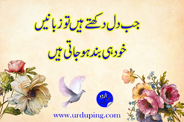 heart touching quotes in urdu 2 lines