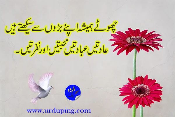 heart touching quotes in urdu for her
