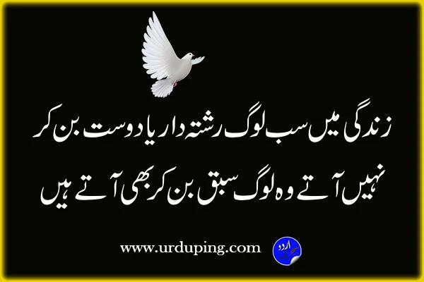 Heart Touching Quotes in Urdu