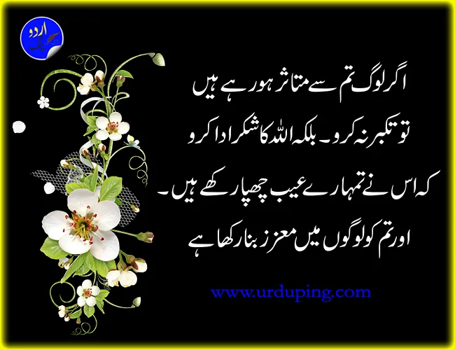 Motivational Quotes in Urdu Text