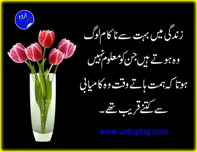 motivational quotes in urdu download